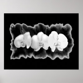 Svartvit blommigt för vattenfärgning av orkidé poster