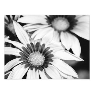 Svartvit blommor fototryck