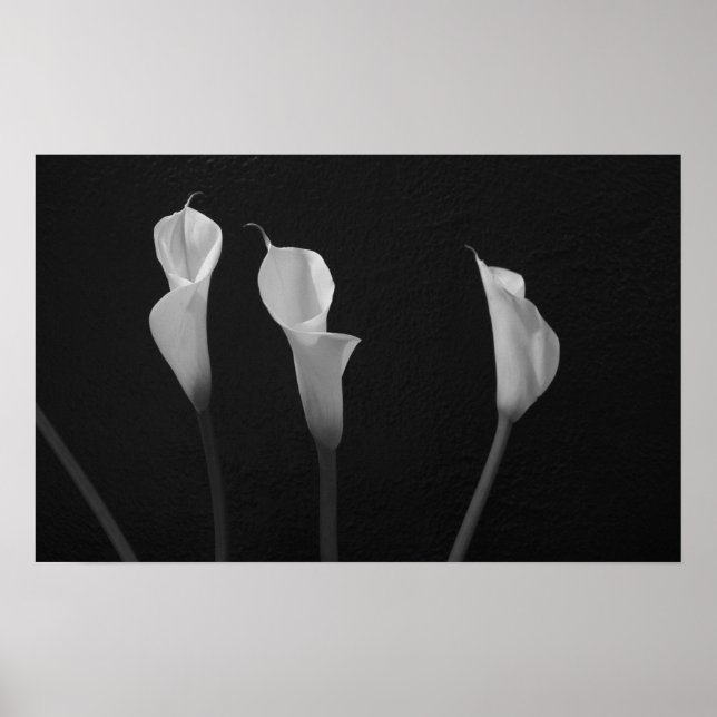 Svartvit blommor Poster (Framsidan)