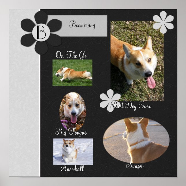 Svartvit blommor, skräp Bok Page Poster (Framsidan)