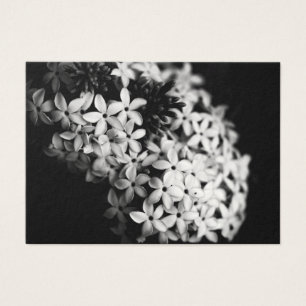 Svartvit blommor visitkort