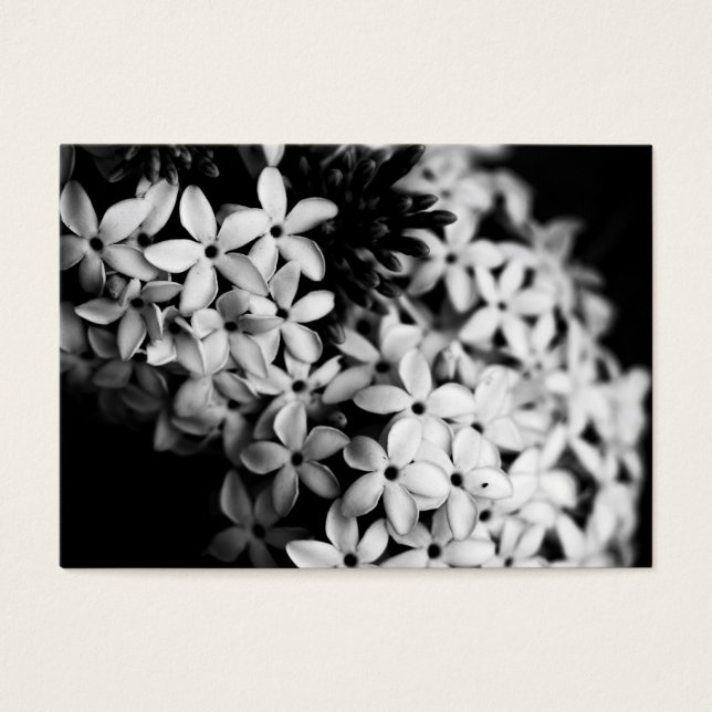 Svartvit blommor visitkort (Framsidan)