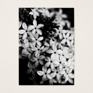 Svartvit blommor visitkort