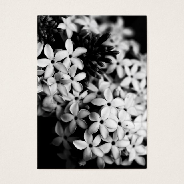 Svartvit blommor visitkort (Framsidan)