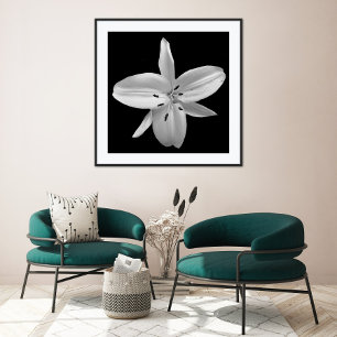 Svartvit Blomsterfotografi Poster