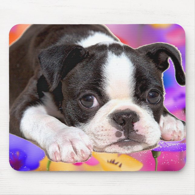 Svartvit Boston Terrier Mousepad Musmatta (Framsidan)