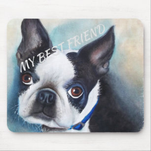 SVARTVIT BOSTON TERRIER MUSMATTA