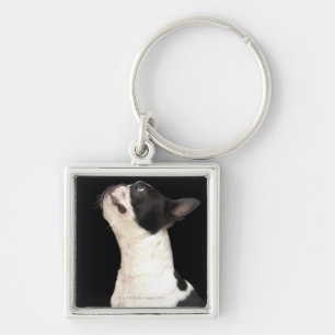 Svartvit Boston Terrier som tittar upp Fyrkantig Silverfärgad Nyckelring