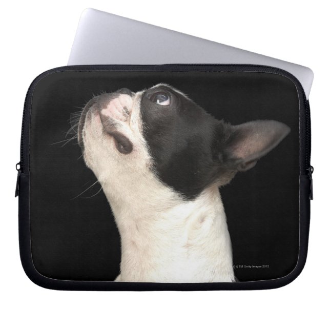Svartvit Boston Terrier tittar upp Laptop Fodral (Framsidan)