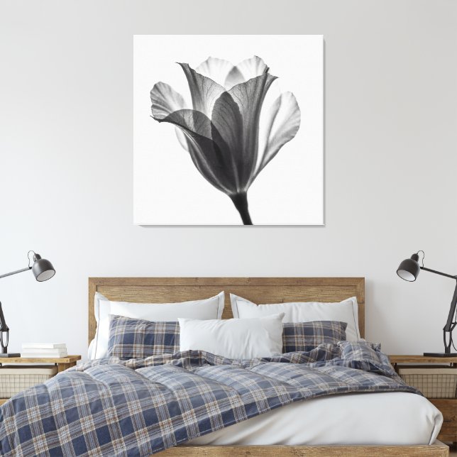 Svartvit botanisk fin konst fotografi canvastryck (Insitu (sovrum))