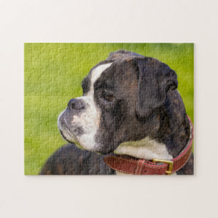 Svartvit boxare, hund pussel
