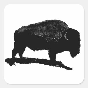 Svartvit buffalo fyrkantigt klistermärke