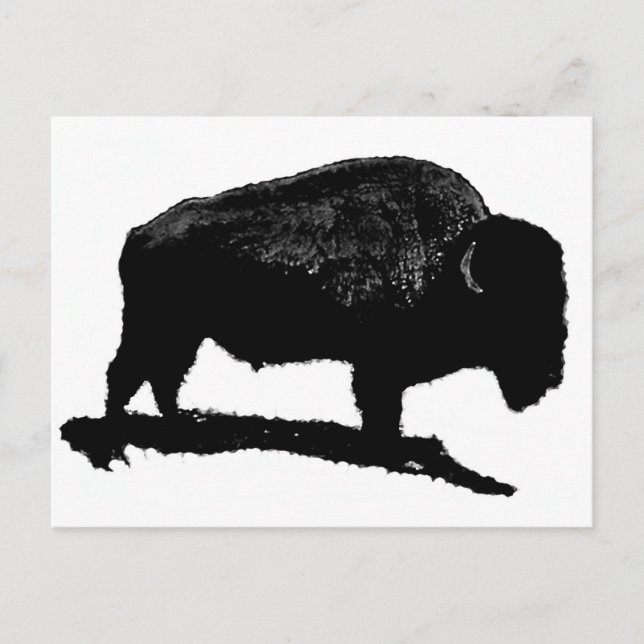 Svartvit buffalo vykort (Framsida)