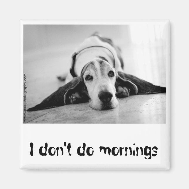 Svartvit, bunt, magnet (Framsidan)