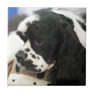 Svartvit cockerspanielSpaniel Trivet Kakelplatta