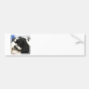 Svartvit cockerspanielSpanielbildekal Bildekal