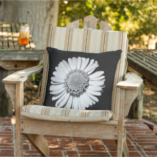Svartvit Daisy Blommigt Art Botaniskt fotografi Kudde