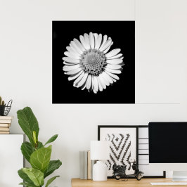 Svartvit Daisy Blommigt Art Botaniskt fotografi Poster