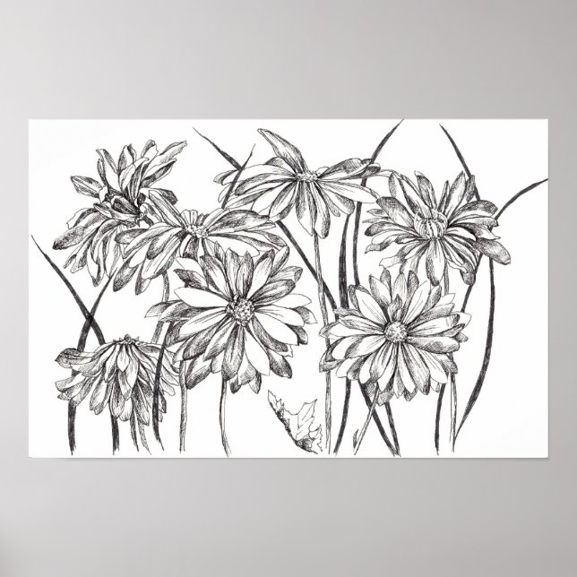 Svartvit Daisy Blomsterträdgård Teckning Poster (Framsidan)