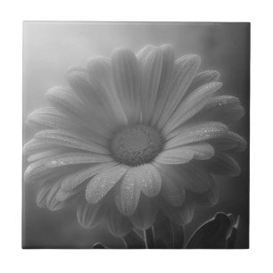 Svartvit Daisy Kakelplatta