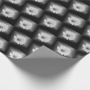 svartvit daisy på svart presentpapper