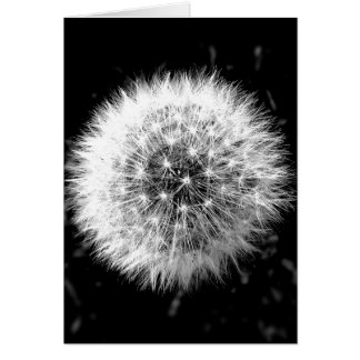 Svartvit dandelion hälsningskort