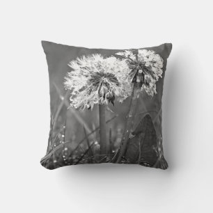 Svartvit dandelion och blånad kudde