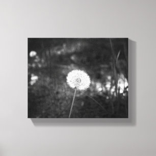 Svartvit dandelion på Skogen 8 x 10 Canvastryck