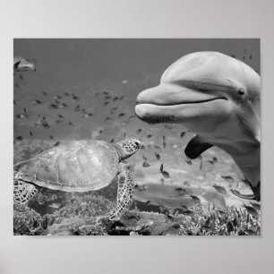 Svartvit delfinsköldpadda Fiskutskrivbar konst Poster