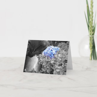 Svartvit design för tom Notecard blåa blommor Kort