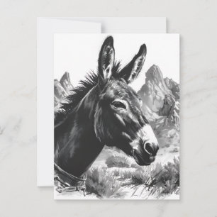 Svartvit Donkey Porträtt Southwest Vykort