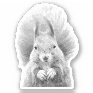 Svartvit ekorre klistermärken