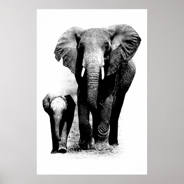 Svartvit Elefant & Elefantunge Affisch (Framsidan)