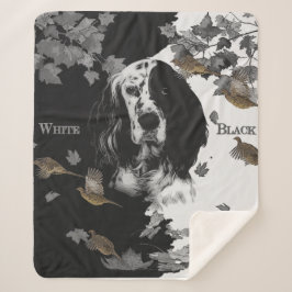 Svartvit engelsk setter