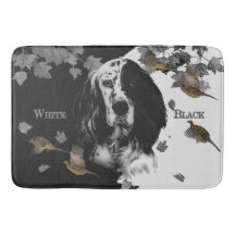 Svartvit engelsk setter