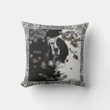 Svartvit engelsk setter