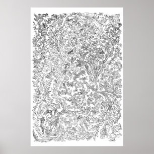 Svartvit evolutionaffisch - livets träd - poster