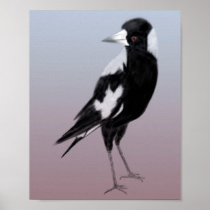 Svartvit fågelkonst magpie poster