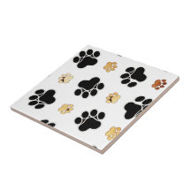 Svartvit färg och solvit färg från hund hund