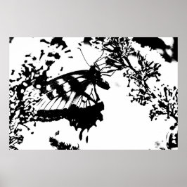 Svartvit fjäril Poster