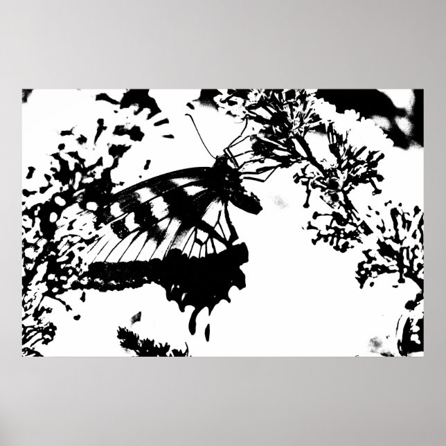 Svartvit fjäril Poster (Framsidan)