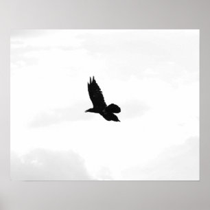 Svartvit, flygande, svart ram 16 x 20 poster