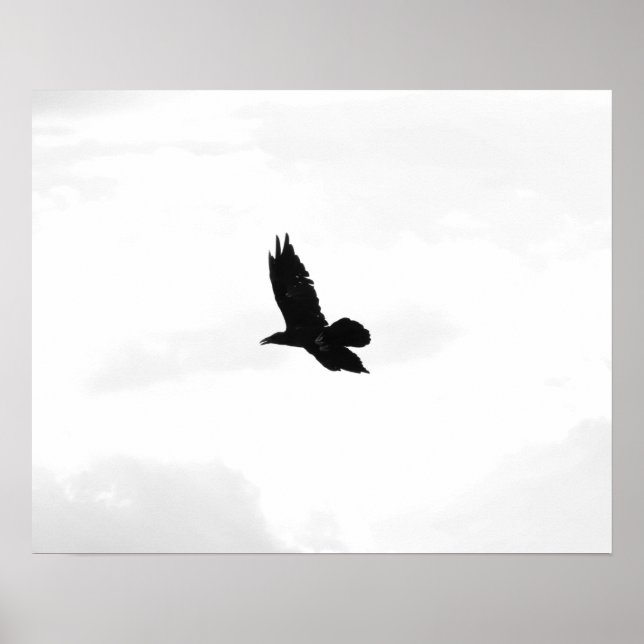 Svartvit, flygande, svart ram 16 x 20 poster (Framsidan)