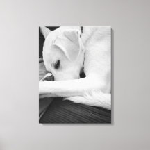 Svartvit foto av Cute Hund Resten med Pappa