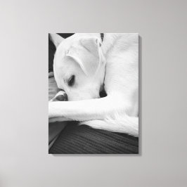 Svartvit foto av Cute Hund Resten med Pappa Canvastryck