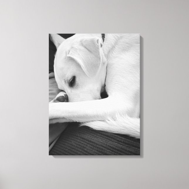 Svartvit foto av Cute Hund Resten med Pappa Canvastryck (Framsida)