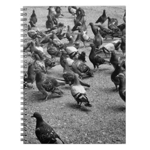 Svartvit fotografi av många duvor anteckningsbok