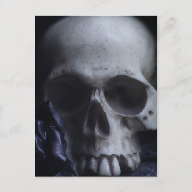 Svartvit fotografi av Spooky Human Skull Grim Blac Vykort (Framsida)