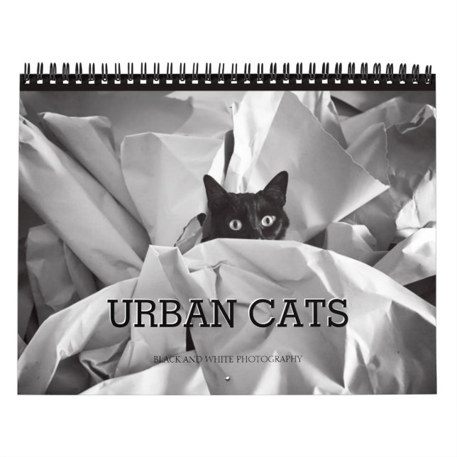 Svartvit fotografi för stads- katter kalender (Omslag)