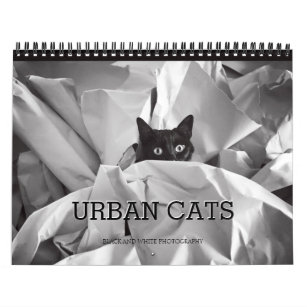 Svartvit fotografi för stads- katter kalender